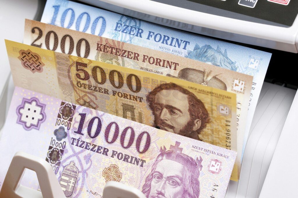 Hungarian forint in the counting machine