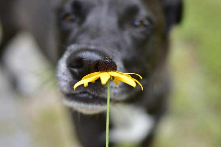 Smell the flowers