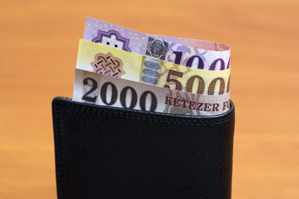 Hungarian forint in the black wallet