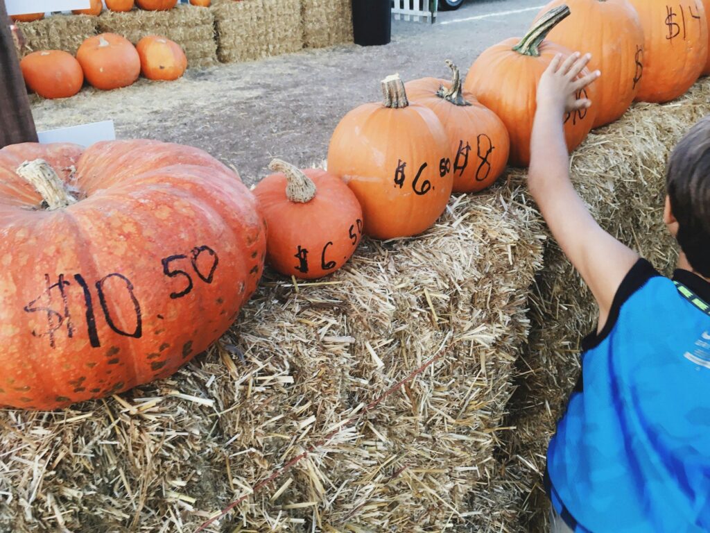 Pumpkins and prices